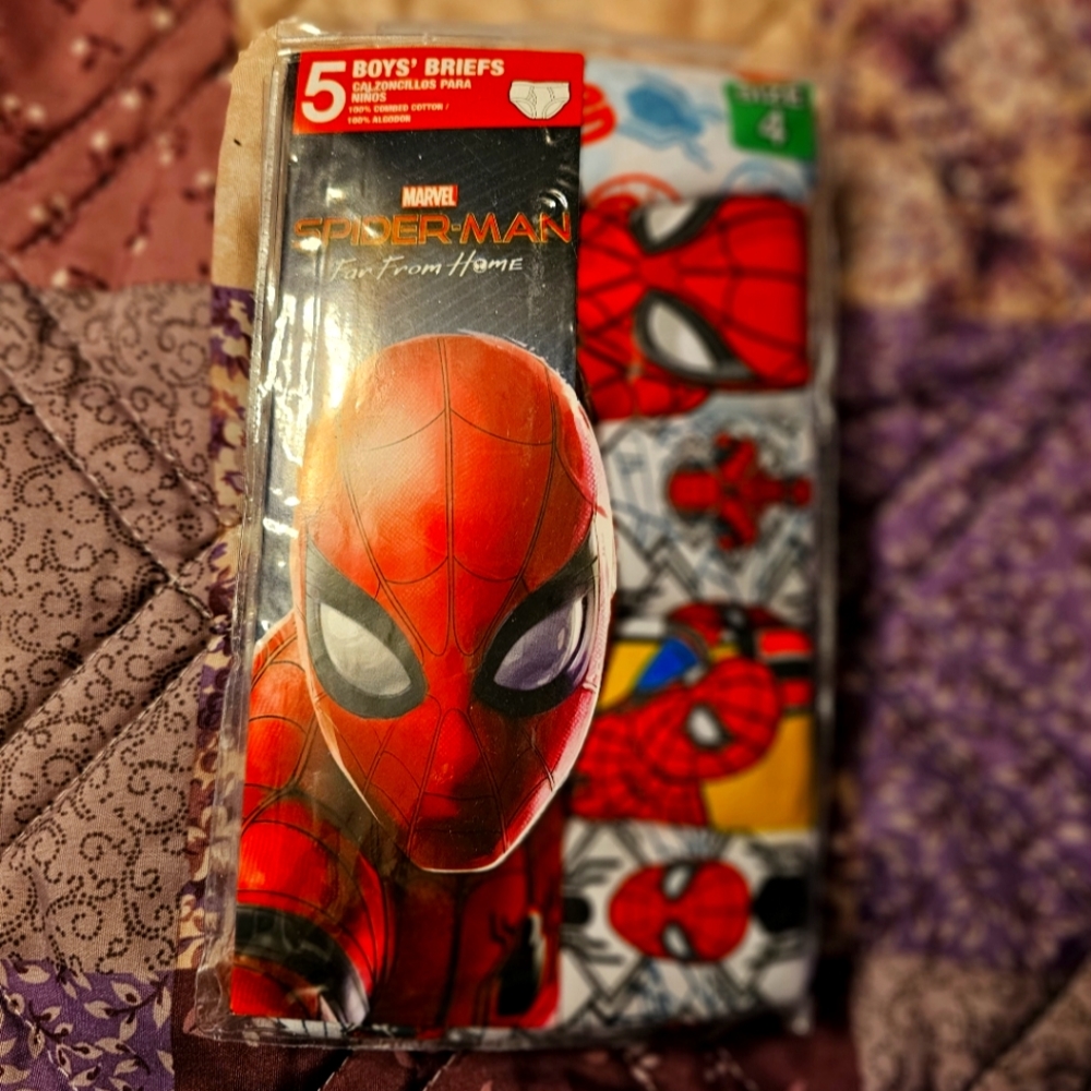 One package Spiderman boys underwear